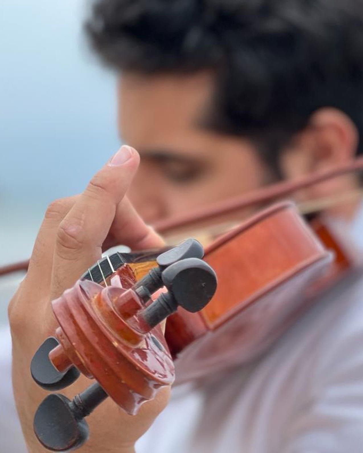 Detalle de la voluta del violín